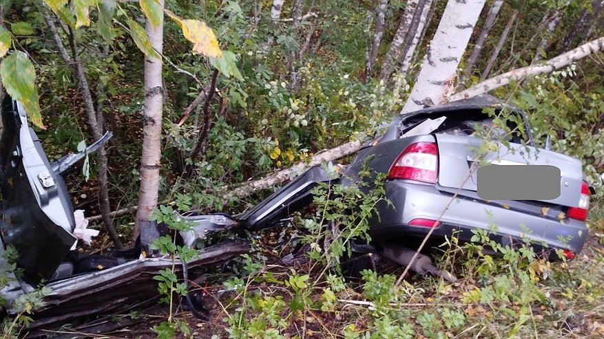 Главная картинка новости: В Кировской области "Приора" врезалась в дерево: погиб 22-летний водитель