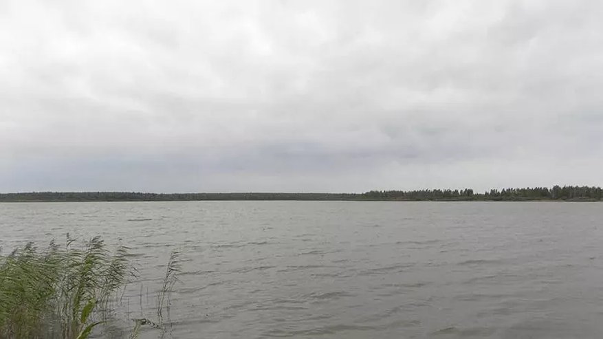 Главная картинка новости: В Кировской области сточные воды загрязнили водоемы в охраняемой зоне "Прудовые озера"