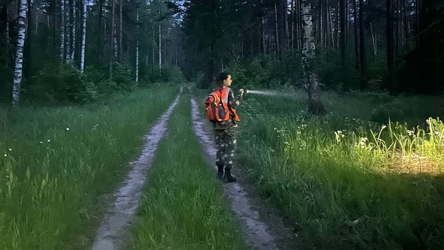 Главная картинка новости: Из леса в Кировской области не вернулся 76-летний мужчина