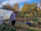 Осенние работы на даче. Что важно сделать на дачном участке прямо сейчас