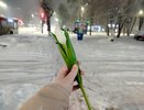 «Грядут аномалии похлеще мороза» — учёные предупреждают о непредсказуемой зиме в России