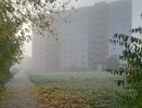 В Кировской области могут ударить заморозки до минус 4 градусов