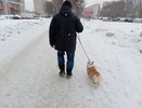 Синоптики бьют тревогу: зима в России будет рекордно аномальной