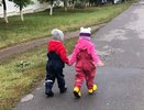 Выходные в Кирове могут пройти без заморозков