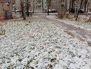 Первые заморозки ударят по Центральной России: синоптики назвали точные даты