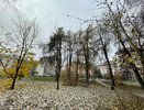 Снег придёт раньше: Тишковец рассказал, каких неожиданностей ждать осенью