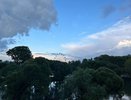 До 62 миллионов рублей готовы заплатить за содержание зеленых насаждений в Кирове