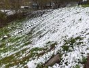 Синоптики рассказали, когда придут первые заморозки: прогноз погоды на осень-2025