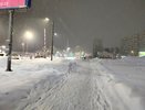 Зима-2026 будет безжалостна: синоптики призвали дачников и пожилых готовиться к худшему - новый прогноз