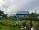 Озимый чеснок без золы и суперфосфатов: химик раскрыл главную ошибку огородников