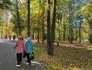 Бабье лето или дожди? Синоптики рассказали, чего ждать жителям России во второй половине сентября