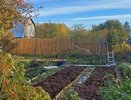 Секреты сидератов, о которых молчат агрономы: как превратить любую землю в чернозём