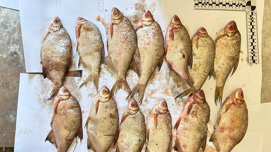 Главная картинка новости: На Вятке задержали браконьеров с сетями