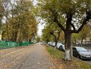 Тревожные гроздья рябины и прогноз синоптиков: какой будет зима в России