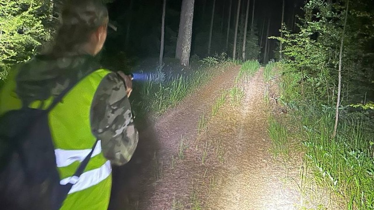 Главная картинка новости: В Кировской области почти месяц ищут высокого мужчину в синем дождевике