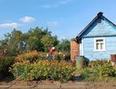 Осенью присыпаю грядки в теплице 1 стаканом «порошка» — за зиму почва сама оздоравливается