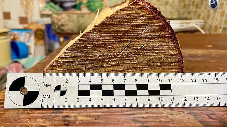 Главная картинка новости: В Кировской области нашли тело 49-летнего мужчины, которого до смерти избили поленом