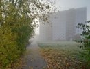Заморозки в Кировской области ударят с новой силой