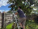 Что важно успеть на даче до холодов: простые осенние работы для участка