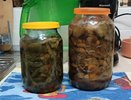 Вкус изумительный — горчить не будут: 2 способа засолить грузди на зиму — холодный и горячий