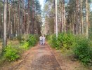 Кировчан приглашают высадить деревья