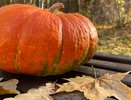 Тыквенный сок на зиму: простой рецепт, который удастся даже новичкам