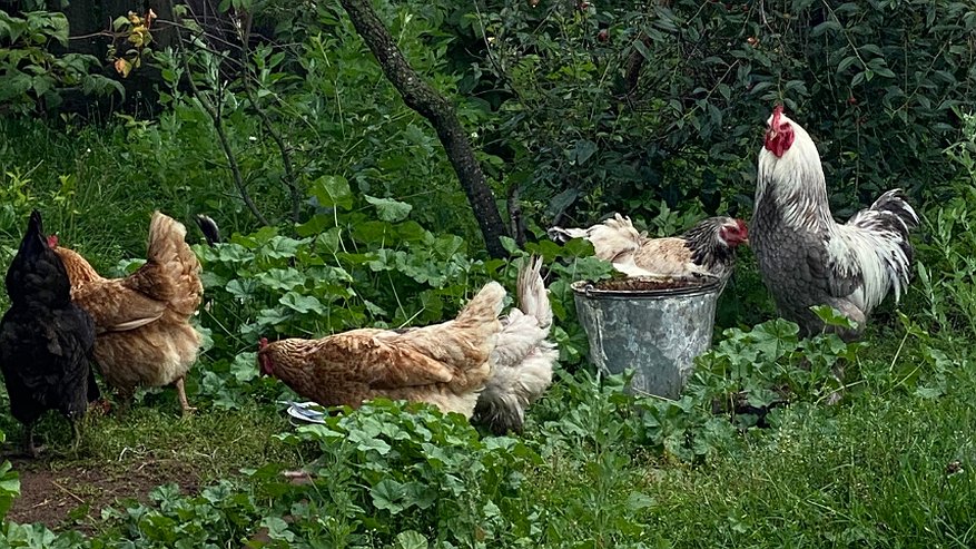 Главная картинка новости: Кировчанин с восемью детьми открыл свое дело по соцконтракту