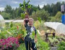 Первый закон хранения свеклы: что делают не так после уборки. 3 ошибки, из-за которых она сохнет, вянет и гниёт
