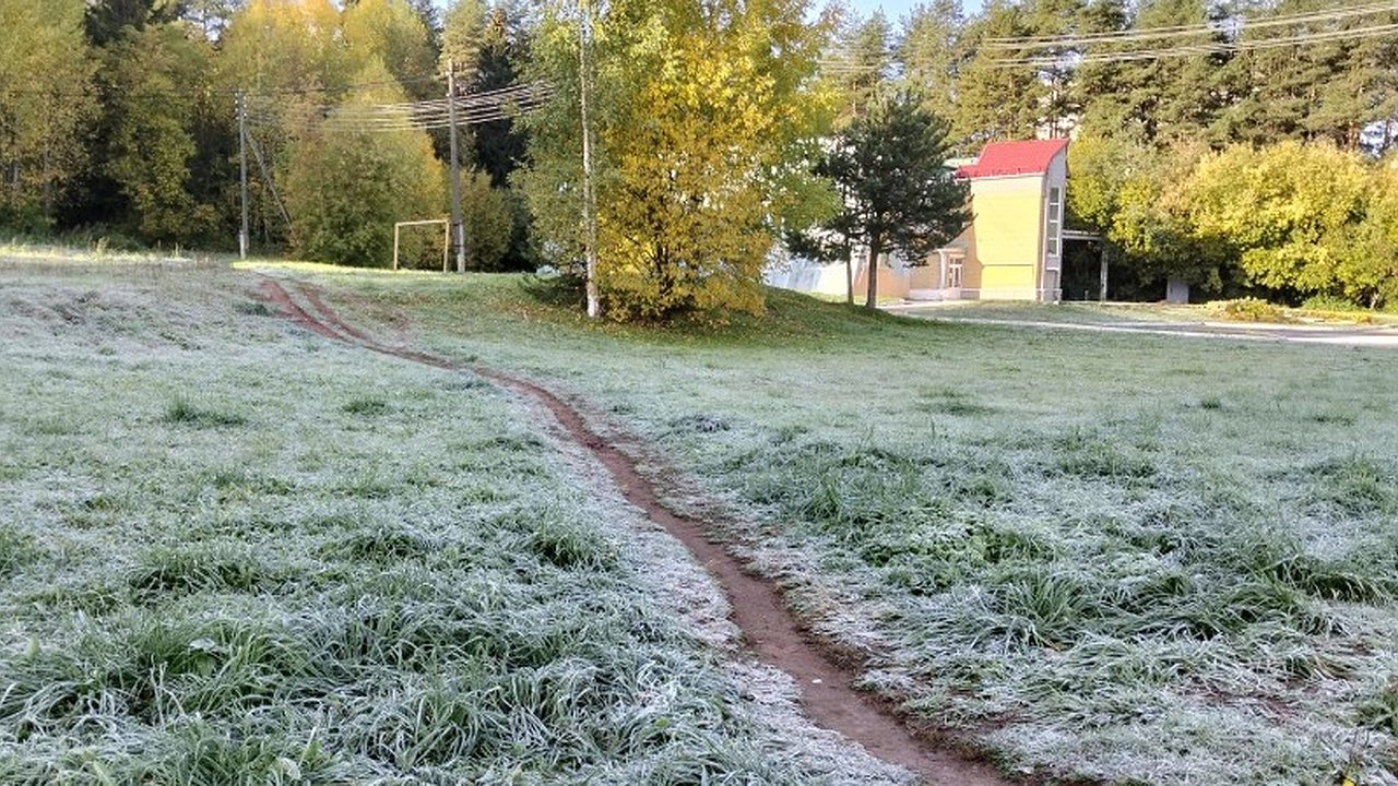 Главная картинка новости: В Кировской области зафиксировали заморозки до минус 6 градусов