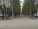 В Кировской области потеплеет до плюс 15 градусов