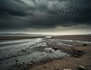 В сухом остатке: к каким последствиям приведет обмеление Каспийского моря