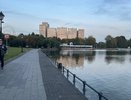 Где в Подмосковье лучше всего экология: районы для комфортной жизни