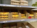 Лотки от яиц спускаю в погреб — и всю зиму слезы счастья утираю: нужны не для хранения урожая — эффект дорогого стоит