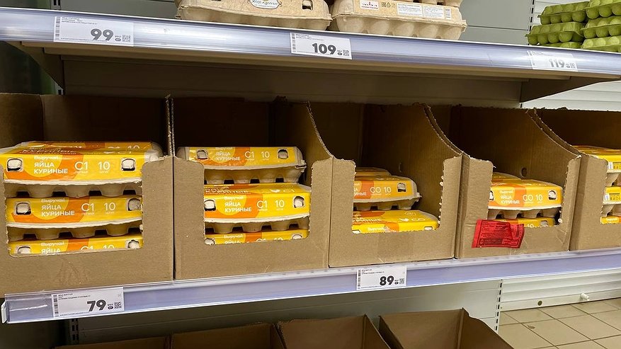 Главная картинка новости: Лотки от яиц спускаю в погреб — и всю зиму слезы счастья утираю: нужны не для хранения урожая — эффект дорогого стоит