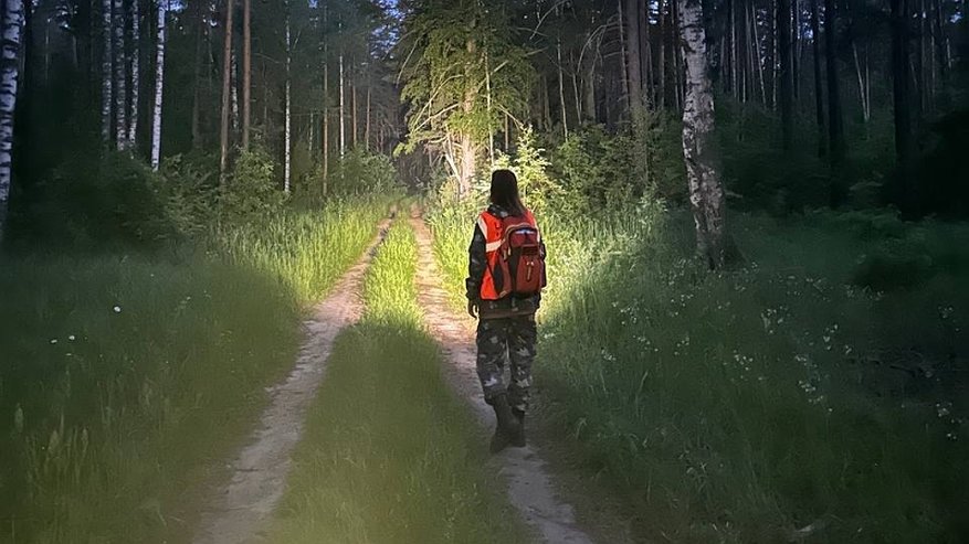 Главная картинка новости: В Кировской области 10 дней не могут найти женщину в ярко-голубом пиджаке