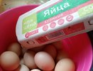 Продавец "Пятерочки" объяснил, почему никогда не покупает яйца категории С0 - 1 важная причина