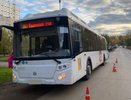 В Кирове велосипедист спровоцировал ДТП с автобусом: пострадала пассажирка