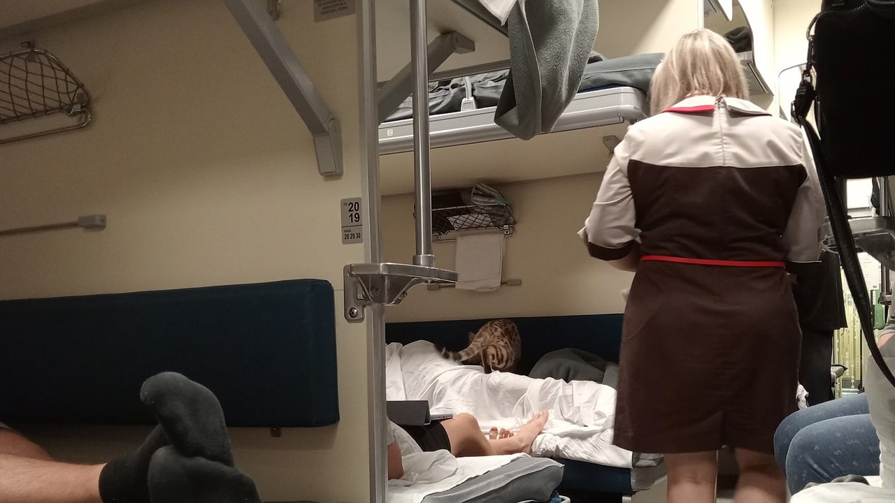 Главная картинка новости: «Уступи девушке, ты же мужчина»: как простая фраза в плацкарте изменила жизнь пассажира