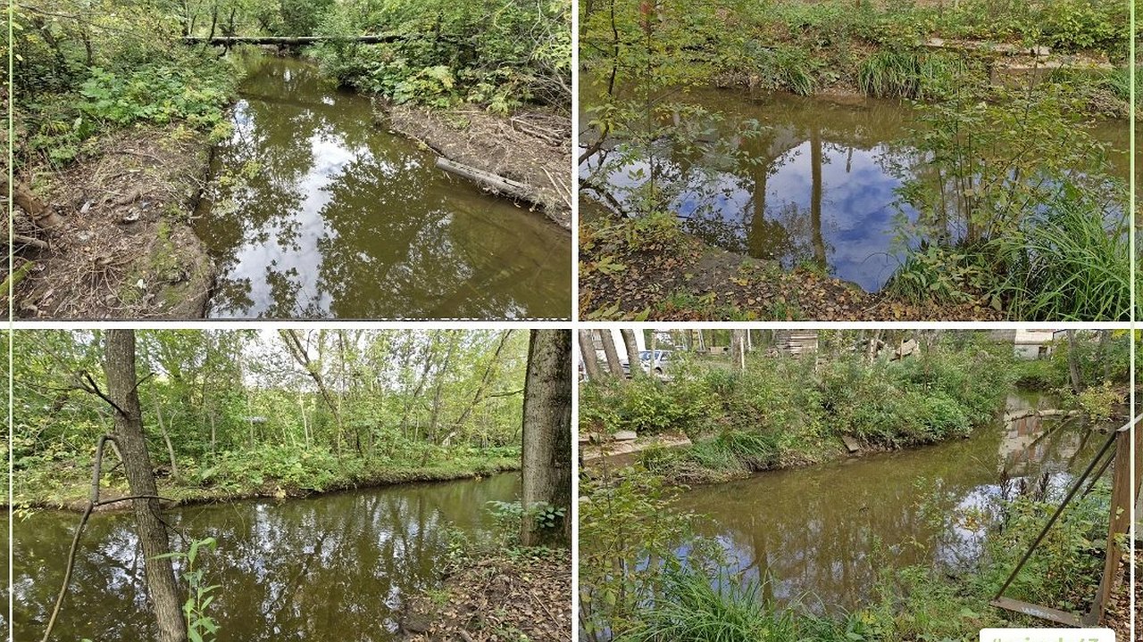 Главная картинка новости: Тихая жизнь рек: почему рыба исчезает из водоёмов Кировской области