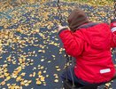 В Кировской области ребенку-инвалиду и его матери присудили компенсацию на 125 тысяч рублей