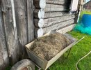 От этой смеси за зиму перегнивают даже доски: осенью обязательно лейте по три ведра в компост