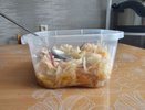 Чтобы была хрустящей: основные правила и частые ошибки при квашении капусты