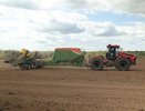 Режим чрезвычайной ситуации объявлен в 19 муниципалитетах Кировской области из-за гибели посевов
