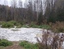 Молочное предприятие в Котельничском районе сбрасывало отходы на землю