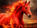 Как у Христа за пазухой: кому в 2026 Огненная лошадь дарует защиту от любых бед