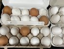 Умные продавцы всегда покупают в магазине только такие яйца - запомните эти 2 признака