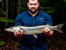 Почему на Севере России нельзя есть щуку и окуней, даже после жарки и заморозки