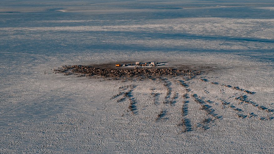 Главная картинка новости: Вместе в цифровое будущее: стартует юбилейный конкурс "Ростелекома" для региональных ИТ-журналистов и блогеров