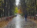 Циклон принесет сильные дожди и ветер в Кировскую область в конце октября