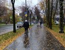 До плюс 9 градусов и небольшие дожди: синоптики рассказали о погоде в последние выходные октября в Кировской области